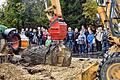 Maschinen für die Waldarbeit werden beim Holztag in Scheinfeld zu sehen sein.
