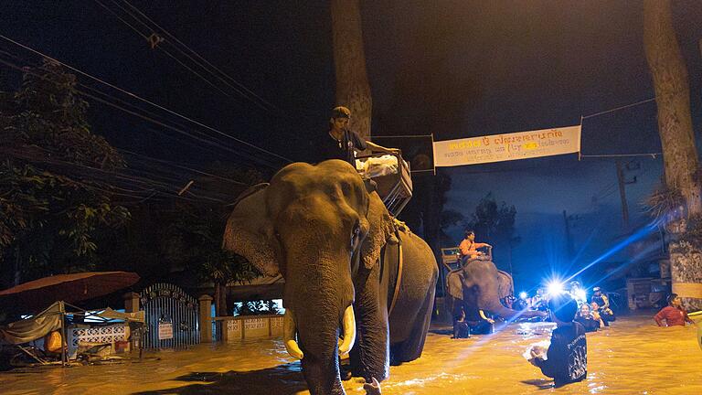 Hochwasser in Thailand       -  Viele schauten verdutzt, als plötzlich ein Mönch auf einem Elefanten durch die Fluten ritt (Foto aktuell).