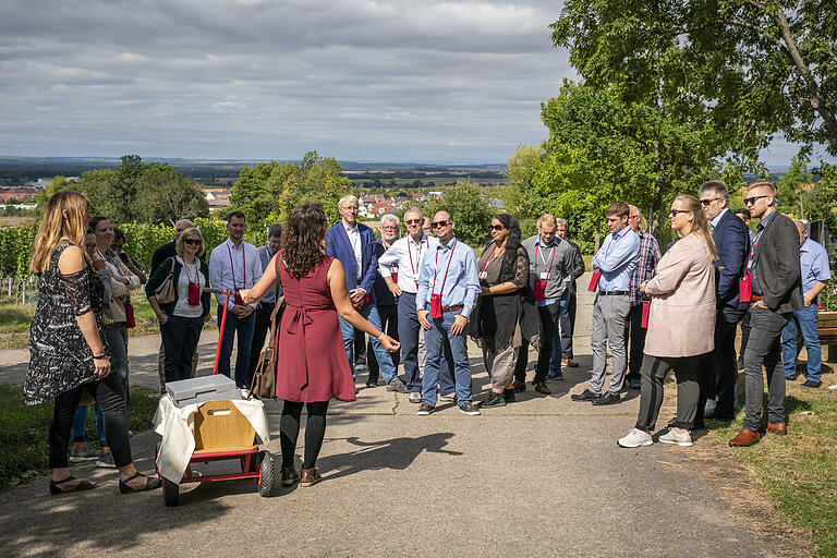 Julia Behringer (im Vordergrund) vom Abtswinder Weingut Behringer führte die Gäste von Kräuter Mix bei einer Wein- und Kräuterwanderung durch die Abtswinder Weinlage Altenberg.&nbsp;