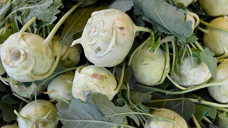 Auch die Blätter vom Kohlrabi lassen sich verwenden. Sternekoch Paul Ivic schätzt sie für ihre leichte Senf-Schärfe. Foto: Holger Hollemann/dpa/dpa-tmn       -  Auch die Blätter vom Kohlrabi lassen sich verwenden. Doch wie viele Vitamine sind eigentlich in einer Kohlrabi enthalten?