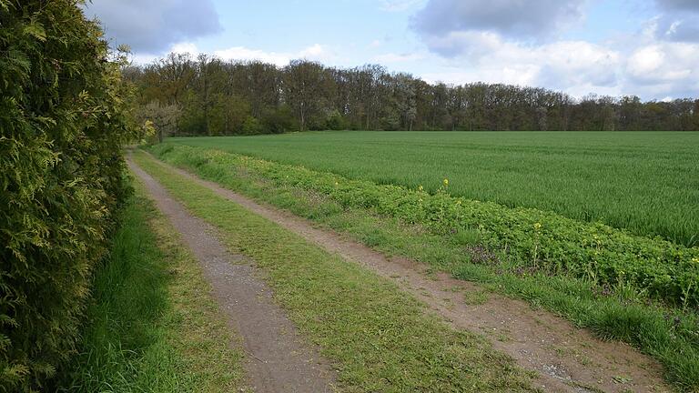 Wegen einer klammen Kasse und einem geringeren Bedarf an Bauplätzen lässt die Gemeinde Euerbach überprüfen, ob das geplante Baugebiet 'Am Steigberg' in zwei Bauabschnitten erschlossen wird.