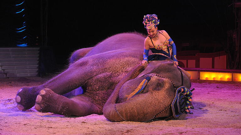 Szenen von der Premierenvorstellung des Circus Krone in Bad Kissingen.