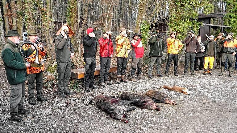 Geringe Strecke: Nur drei Wildschweine und ein Fuchs wurden bei der Treibjagd im Revier bei Wiesenfeld geschossen. Die Jagdhornbläser beenden traditionell die Jagd.