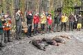 Geringe Strecke: Nur drei Wildschweine und ein Fuchs wurden bei der Treibjagd im Revier bei Wiesenfeld geschossen. Die Jagdhornbläser beenden traditionell die Jagd.