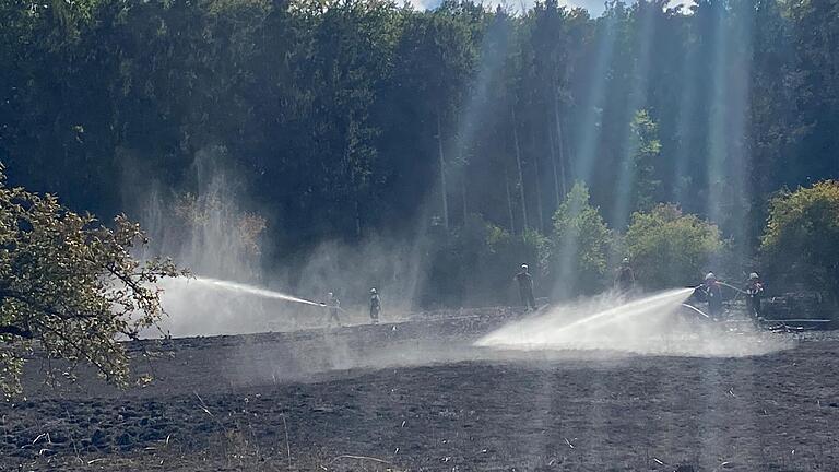 Feuerwehrleute beim Löschen eines Wiesen- und Waldbrands gegenüber von Gemünden.