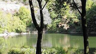 Der Frickenhäuser See ist der einzig natürlich entstandene See imnördlichen Unterfranken.       -  
Der Frickenhäuser See ist der einzig natürlich entstandene See im
nördlichen Unterfranken.

Der kreisrunde Frickenhäuser See entstand aus einer abflusslosen Doline,
die abgedichtet wurde.