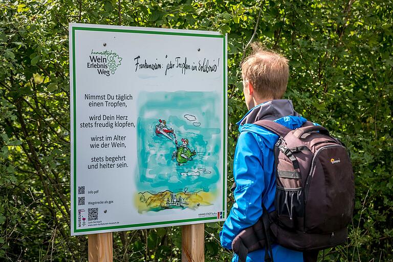Ein Teil des Wanderweges läuft entlang des Wein-Erlebnis-Wegs, der mit zwölf humoristischen Tafeln ausgestattet ist.&nbsp;