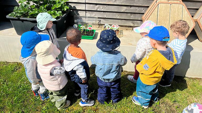 Die Krippenkinder bestaunen ihre Gewächshäuser.