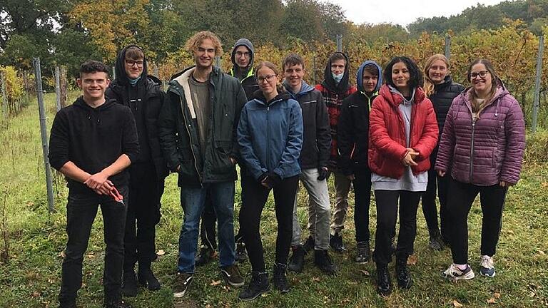 Diese jungen Menschen sind mittlerweile die Ausnahme. Immer weniger Interessenten wollen eine Ausbildung zum Winzer starten. Fotos: Nolte Diese jungen Menschen sind mittlerweile die Ausnahme. Immer weniger Interessenten wollen eine Ausbildung zum Winzer starten. Fotos: Nolte