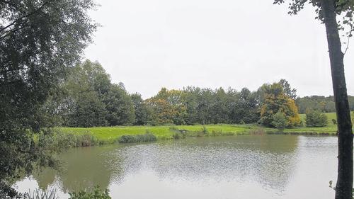 Dammertüchtigung nötig: Gut 80 Meter lang und fünf Meter hoch ist der Damm, der den Fischteich in Büchold nach Osten hin begrenzt. Zum Schutz gegen Starkregen soll er nun um 80 Zentimeter erhöht werden, beschloss der Arnsteiner Stadtrat.