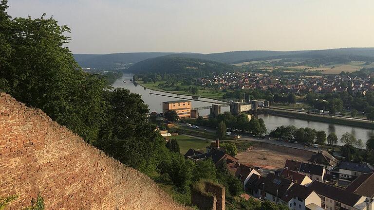 Blick über das Maintal: Vom Fränkischen Rotweinwanderweg aus hat man immer einen herrlichen Blick, hier auf den Main und auf Klingenberg.