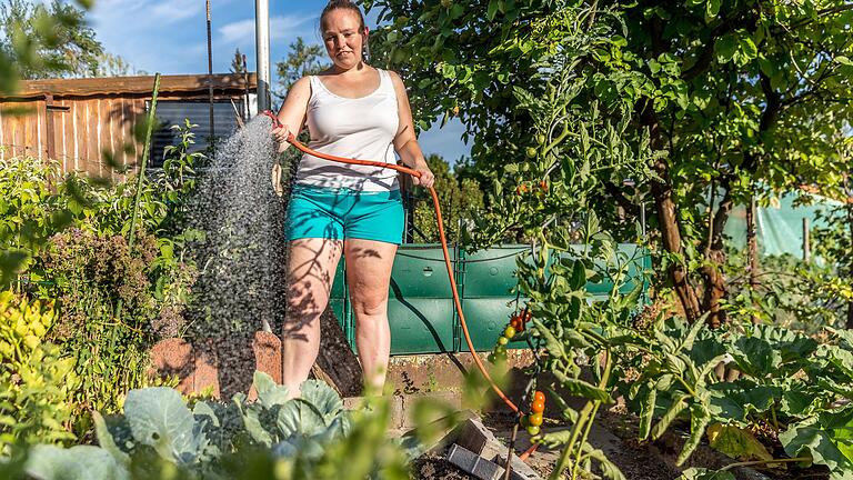 Eine Gartenbesitzerin gießt am Abend ihre Parzelle in einer Kleingartenanlage im Würzburger Stadtteil Sanderau. Eine Gartenbesitzerin gießt am Abend ihre Parzelle in einer Kleingartenanlage im Würzburger Stadtteil Sanderau.
