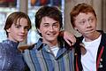 Harry-Potter-Stars würdigen Maggie Smith       -  Emma Watson, Daniel Radcliffe und Rupert Grint (l-r) spielten in den Filmen die Zauberlehrlinge Hermine Granger, Harry Potter und Ron Weasley. (Archivbild)