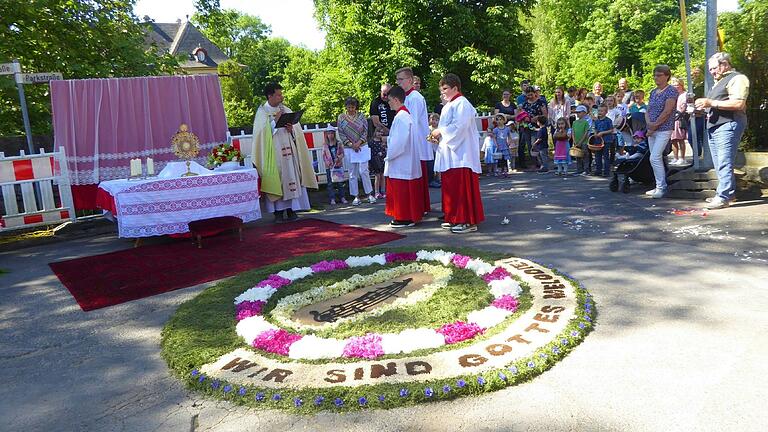 Zum vorgezogenen Fronleichnamsfest in Gelchsheim gestalteten Mitglieder des Obst- und Gartenbauverein den Blumenteppich an der Schlossmauer.