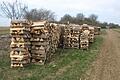 Wegen der Corona-Situation gibt es heuer keine Brennholzversteigerung, verkauft wird das Holz direkt.  Symbolbild: Stefan Geiger/Archiv       -  Wegen der Corona-Situation gibt es heuer keine Brennholzversteigerung, verkauft wird das Holz direkt.  Symbolbild: Stefan Geiger/Archiv