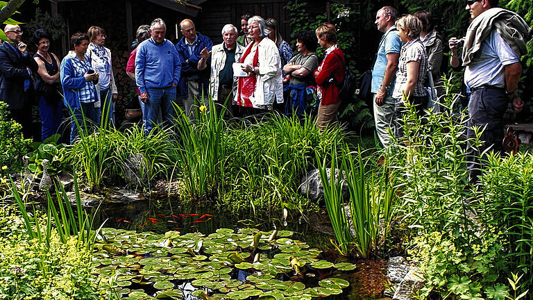 Wasser, Fische und üppiges Grün: In Veitshöchheim bewunderten die Teilnehmer eines Gartengestaltungsseminars der Bayerischen Gartenakademie den sehr natürlich wirkenden Goldfischteich im Garten der Familie Dömling. Wasser, Fische und üppiges Grün: In Veitshöchheim bewunderten die Teilnehmer eines Gartengestaltungsseminars der Bayerischen Gartenakademie den sehr natürlich wirkenden Goldfischteich im Garten der Familie Dömling.