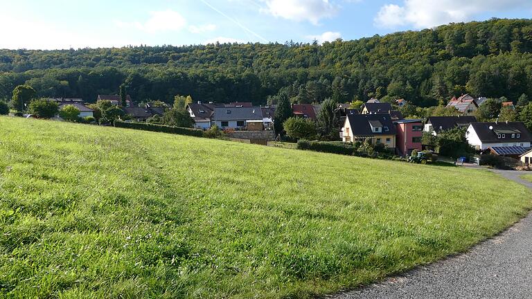 Derzeit läuft die artenschutzrechtliche Beurteilung des Baugebietes 'Schleifrain' in Windheim. (Archivfoto)