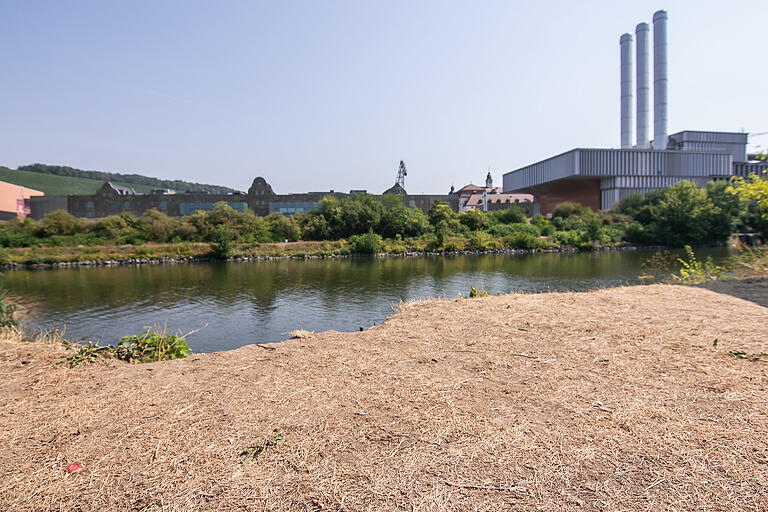 Alles trocken am Fluss! Blick auf die Würzburger Mainwiesen, gegenüber von Kulturspeicher und Heizkraftwerk.