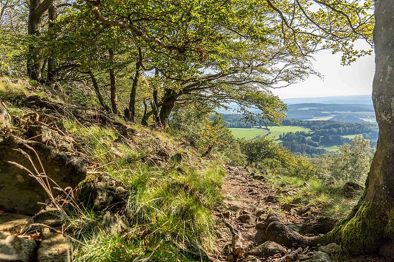 Auf dem Stellberg bietet sich nicht nur der Blick auf eine Blockschutthalde, sondern auch eine schöne Aussicht auf das Fuldaer Land. Auf dem Stellberg bietet sich nicht nur der Blick auf eine Blockschutthalde, sondern auch eine schöne Aussicht auf das Fuldaer Land.