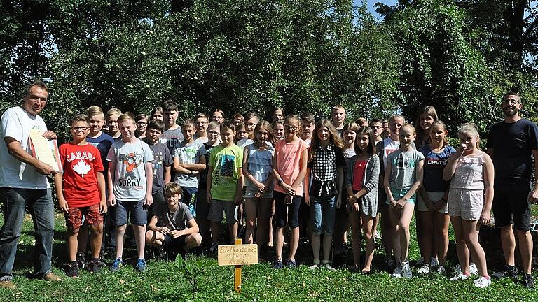 Baumpflanzprojekt: Hofheimer Realschüler sind Teil einer weltweiten Bewegung       -  Das Umweltprojekt &bdquo;Stop Talking Start Planting&ldquo; präsentierte Kreis-Energieberater Günter Lieberth Schülern der sechsten Klasse der Jacob-Curio-Realschule am Freitagvormittag. Anlässlich des zehnjährigen Bestehens der Energieberatung im Landkreis hatte das Umweltbildungszentrum (UBIZ) ein Gewinnspiel gestartet. Einer der Preise war der Vortrag des Energieberaters, der das Projekt des Schülers Felix Finkbeiner vorstellte, der sich im Jahr 2007 als damals Neunjähriger zum Ziel setzte, in jedem Land der Erde eine Million Bäume zu pflanzen und damit einen Beitrag zu leisten, den Klimawandel zu stoppen. Er forderte zunächst seine Schulfreunde und später über Internet alle Kinder der Welt auf, die Vision in die Tat umzusetzen. &bdquo;Plant-for-the-planet&ldquo; war geboren. In sieben Jahren pflanzten daraufhin Kinder und Erwachsene über 13 Milliarden Bäume. Im Jahr 2011 übertrug die Völkergemeinschaft (UNEP) die Verantwortung für den offiziellen Welt-Baum-Zähler auf Kinder und Jugendliche. &bdquo;Wenn jeder Mensch 150 Bäume pflanzt, schaffen wir 1000 Milliarden bis 2020&ldquo; lautet seitdem das Credo. Auch 45 Kinder der sechsten Klasse der Realschule haben sich an dem Projekt beteiligt. Im April pflanzten sie unter Anleitung von Forstanwärter Stefan Dirmeier 325 Bäume im Hofheimer Stadtwald bei Rügheim. Eine Edelkastanie (oder: Esskastanie) wurde im Schulgarten gepflanzt. &bdquo;Ihr seid ein Teil dieser weltweiten Bewegung&ldquo; sagte Lieberth während seines Vortrags und forderte die Kinder zudem auch dazu auf, im Alltag ökologisch zu handeln. Dazu gehöre auch beispielsweise der Kauf von recyceltem Papier. Vor rund 40 Jahren habe der Anteil von recyceltem &ndash; das heißt aus Altpapier hergestelltem &ndash; Papier noch bei rund 90 Prozent gelegen. Heute betrage der Anteil nur noch rund zehn Prozent, so Energieberater Lieberth.