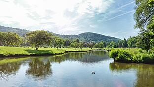 Die Natur entlang der Saale