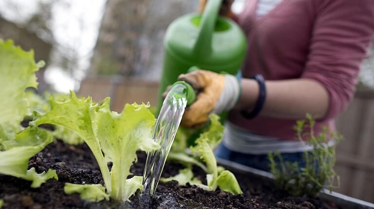 Urban Gardening ist nicht nur in Großstädten ein Trend. Urban Gardening ist nicht nur in Großstädten ein Trend.