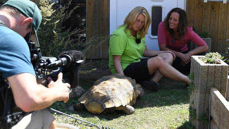 Sandra Malguth (links) von der Landschildkröten Auffangstation in Hoheim unterhält sich mit Kate Kitchenham. Die Moderatorin der Vox-Sendung 'Hundkatzemaus' war mit einem Filmteam in der Station zu Gast.