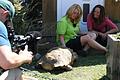 Sandra Malguth (links) von der Landschildkröten Auffangstation in Hoheim unterhält sich mit Kate Kitchenham. Die Moderatorin der Vox-Sendung 'Hundkatzemaus' war mit einem Filmteam in der Station zu Gast.