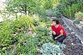 Im Kräutergarten: Barbara Wallochny schaut nach, was gerade blüht.