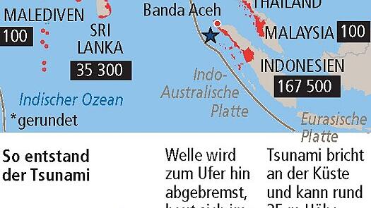 Damals, nach dem Tsunami