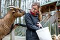 Ziegenbock 'Boss' will mehr Brot.