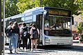 Beim öffentlichen Nahverkehr in Main-Spessart gibt es Nachholbedarf: hier der Bus von Marktheidenfeld nach Lohr. (Symbolbild)