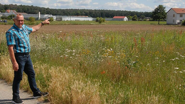 Albertshofens Bürgermeister Horst Reuther zeigt im Steinbühl auf eines der Areale, die nicht zum Baugebiet zu machen waren. Jetzt wird endgültig auch nichts mit Bauplätzen im Lohweg Albertshofens Bürgermeister Horst Reuther zeigt im Steinbühl auf eines der Areale, die nicht zum Baugebiet zu machen waren. Jetzt wird endgültig auch nichts mit Bauplätzen im Lohweg