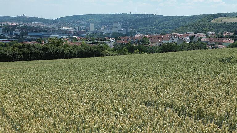 Zell: Grünflächen am Ortsrand mit Blickkontakt zur Festung und Frankenwarte sollen im geänderten Flächennutzungsplan der Gemeinde als Wohnflächen vorgesehen werden. Zell: Grünflächen am Ortsrand mit Blickkontakt zur Festung und Frankenwarte sollen im geänderten Flächennutzungsplan der Gemeinde als Wohnflächen vorgesehen werden.