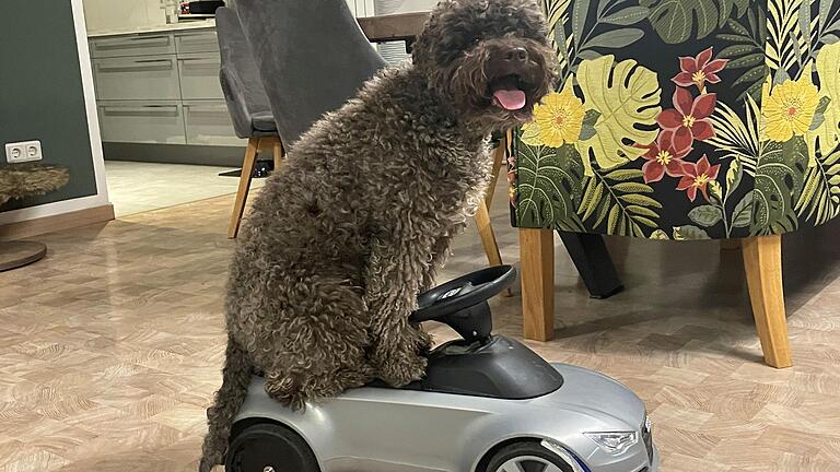 Autofahren kann Abbey schon mal. Ob sie das auch in der Show zeigt, wird nicht verraten.