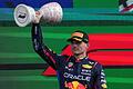 Max Verstappen       -  Max Verstappen will erneut Weltmeister werden.