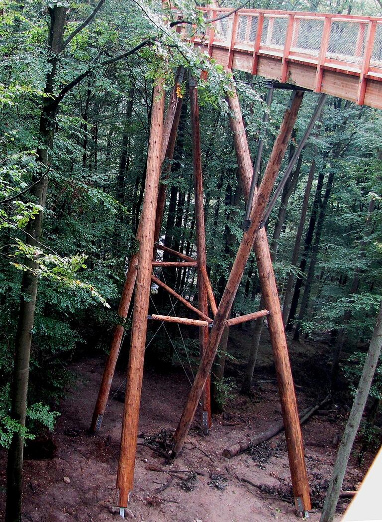 Die leicht schräg stehenden Rundholzstützen unter den Laufstegen und die kurzen, horizontalen Rundholzriegel zwischen diesen Stützen auf dem Baumwipfelpfad Ebrach sind durch Holzpilze gefährdet.