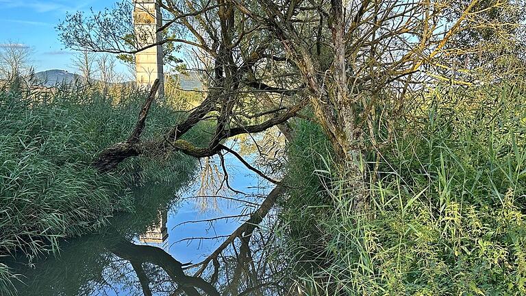 In diesem Bereich stand einst das Milz-Wehr und hier ist die Grenze zwischen Thüringen und Franken. Hier floss die Gülle von der Milz in Simmershausen auf das Gebiet im Milzgrund.