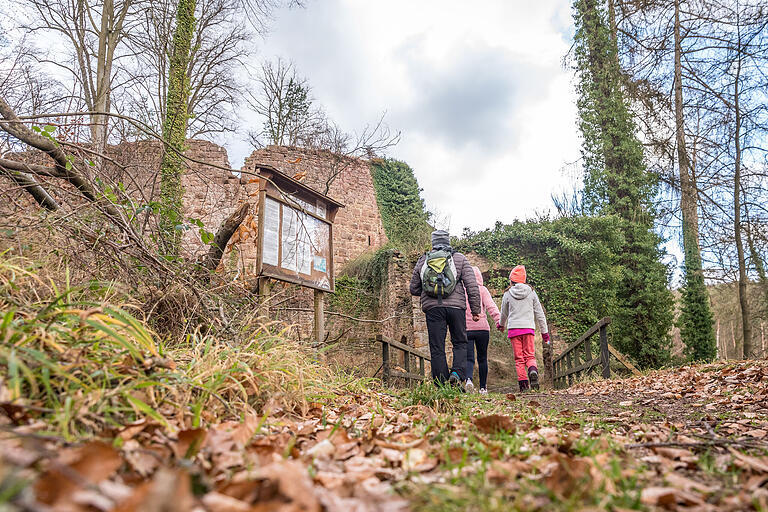 Die 'Burgfreunde Wildenstein' setzen sich für den Erhalt der Burg im inneren Spessart ein. Sie ist ein beliebtes Ausflugsziel. Die 'Burgfreunde Wildenstein' setzen sich für den Erhalt der Burg im inneren Spessart ein. Sie ist ein beliebtes Ausflugsziel.