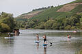 Beliebt aber auch gefährlich: Wassersport und Baden im Main, hier bei Randersacker (Lkr. Würzburg).