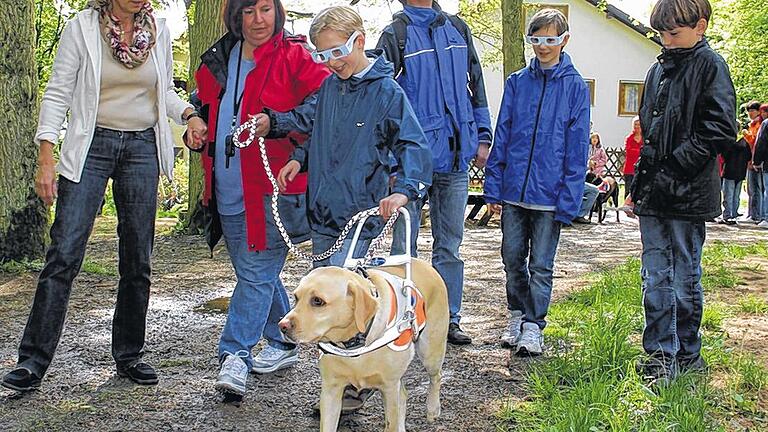 An die Hand genommen: Dass ein Blindenführhund sein „Herrchen“ sicher um Hindernisse auch im Wald herumführt, konnten Besucher selbst erfahren, die wie „blind“ (durch eine Schwarzbrille), von Hund Sony geführt wurden. An die Hand genommen: Dass ein Blindenführhund sein „Herrchen“ sicher um Hindernisse auch im Wald herumführt, konnten Besucher selbst erfahren, die wie „blind“ (durch eine Schwarzbrille), von Hund Sony geführt wurden.