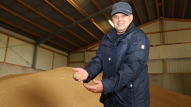 Landwirt Arnold Bedenk aus Schallfeld präsentiert seine Getreideernte, die er noch rechtzeitig gedroschen hat. Einen Teil der aktuellen Ernte hatte er bereits im Vorjahr verkauft. Landwirt Arnold Bedenk aus Schallfeld präsentiert seine Getreideernte, die er noch rechtzeitig gedroschen hat. Einen Teil der aktuellen Ernte hatte er bereits im Vorjahr verkauft.