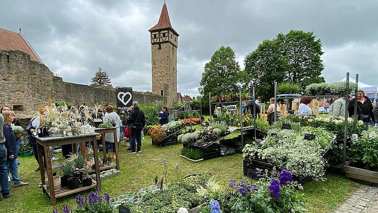 Fleurs &amp; Flair - Blumen und mehr: Die Besucher des Blumenmarktes in Ostheim genossen die Pracht bunter Pflanzen und die Ausstellung von dekorativen Artikeln für Haus und Garten an der Kirchenburg.