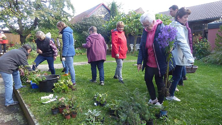 Zahlreiche Hobbygärtnerinnen-und Gärtner wurden auf der Suche nach Gartenschätzen bei der Gelchsheimer Pflanzentauschbörse fündig.