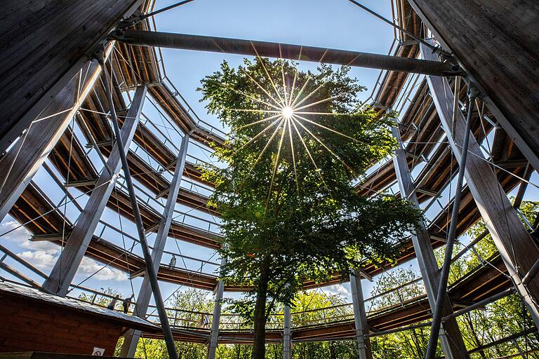 Am 40 Meter hohen Aussichtsturm des Baumwipfelpfads mussten keine Reparaturen vorgenommen werden. Am 40 Meter hohen Aussichtsturm des Baumwipfelpfads mussten keine Reparaturen vorgenommen werden.