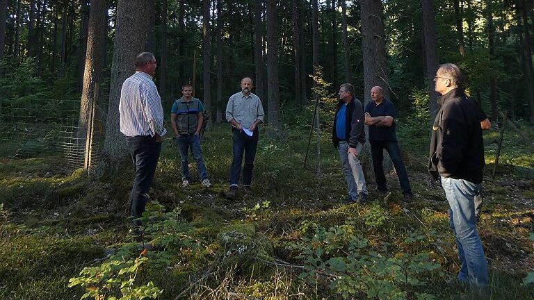 Durch den planmäßigen Waldumbau von Nadelholz-Beständen wird die Abteilung &bdquo;Sandser Graben&rdquo; im Oberen Wald bei Sands auf die Zukunft ausgerichtet. Revierleiter Julian Grundhuber und Mathias Pfüller vom Amt für Ernährung, Landwirtschaft und Forsten (Zweiter und Dritter von links) erläuterten vor Ort den Waldumbau