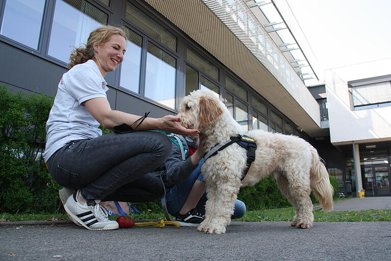 Als 'Lohn' für seinen Einsatz als Therapiehund erhält der Goldendoodle Leckerli von Katharina Müller, seinem Frauchen. Als 'Lohn' für seinen Einsatz als Therapiehund erhält der Goldendoodle Leckerli von Katharina Müller, seinem Frauchen.