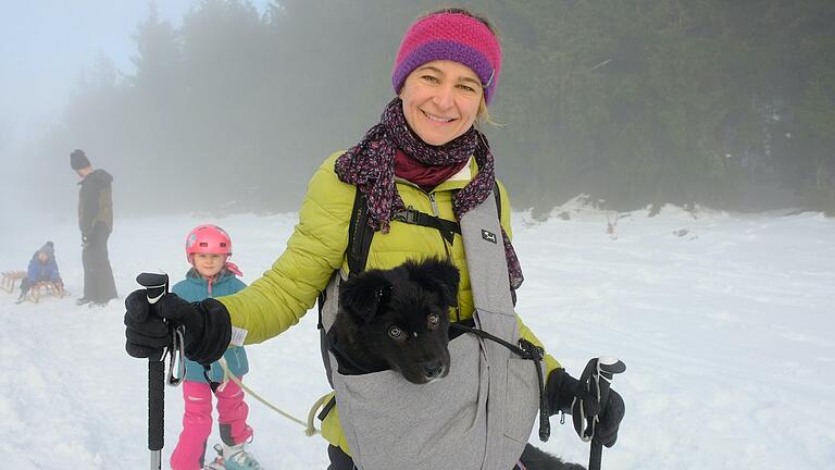 Hund 'Maddy' fühlt sich wohl im Spezial-Sack, um von Frauchen transportiert zu werden.