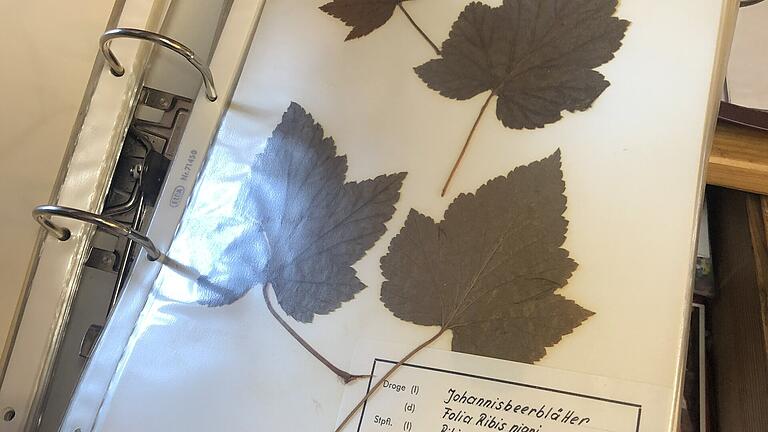 Für ihre Prüfung zur Drogistin musste sie im Jahr 1969 ein Herbarium mit 150 Pflanzen anlegen.