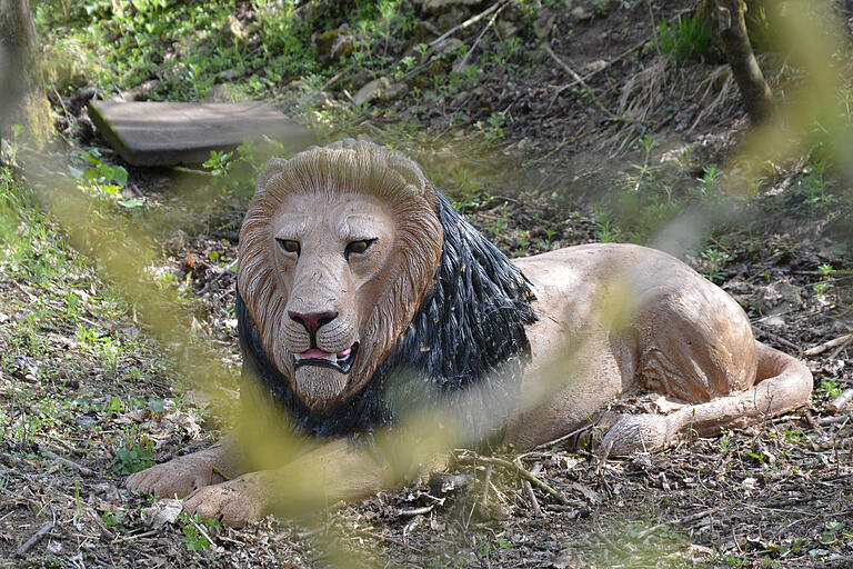 Der König der Tiere ruht sich aus. Der König der Tiere ruht sich aus.
